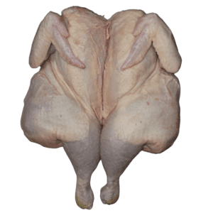 Flat Chicken